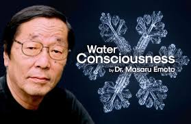 Dr. Emoto Water Consciousness